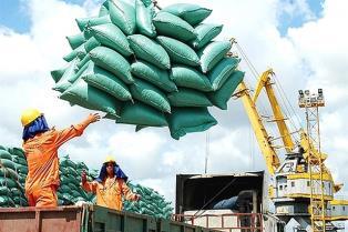 MoIT prepares draft decree to boost rice exports