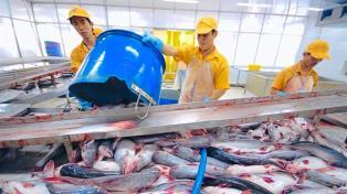Pangasius exports focus on expanding to CPTPP and Middle East