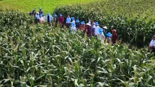 Regional links expected to promote Việt Nams agricultural exports