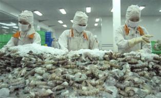 Việt Nam earns 1.1 billion from shrimp exports to China