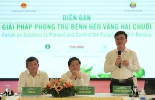 Việt Nam targets 1 billion in banana exports