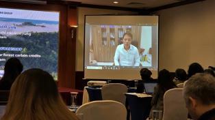 Việt Nams forest credits gain investor interest