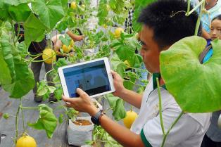 Digital platforms to help Vietnamese cooperatives access European market