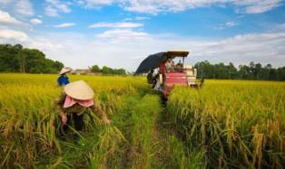 ADB, BIDV support Việt Nams green agriculture with 250 million financing package