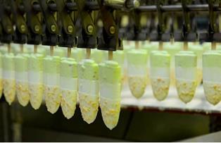 Kido Group withdraws capital from ice-cream segment