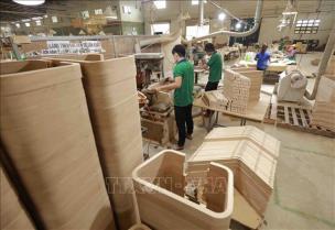 Việt Nam Wood certification mark launched as symbol of validation