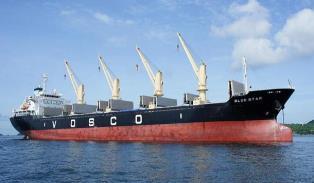 Voscos profits projected to plummet in 2025