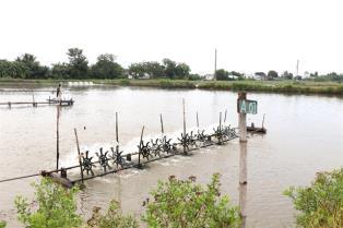 Vĩnh Long seeks investment in 10 farming, rural development projects