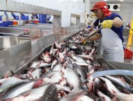 Việt Nams agriculture weathers headwinds, eyes stronger growth ahead