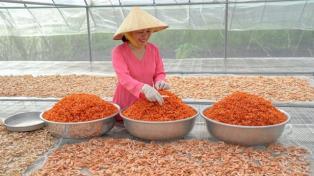 Cà Mau Province dried shrimp producers busy with Tết demand