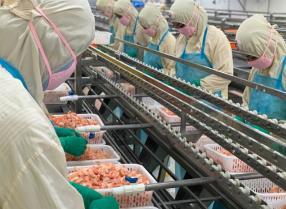 Việt Nams top 10 seafood exporters command nearly one-fifth of industry revenue