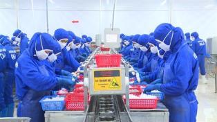 Việt Nams seafood industry targets stability after record-breaking year
