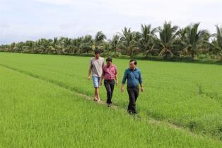 Vĩnh Long identifies new growth drivers