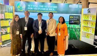 ST25 rice finishes second in worlds best rice competition
