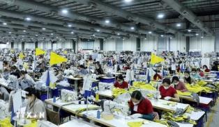 Textile exports face dual challenges of sustaining orders and boosting efficiency amid growing competition