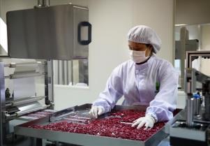 Việt Nam aims for pharmaceutical self-reliance, security