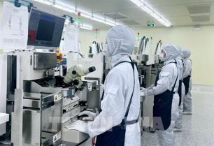 Tech sector growth opens up opportunities for Việt Nam to go global