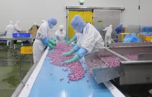 Agricultural firms struggle to secure long-term financing despite preferential credit