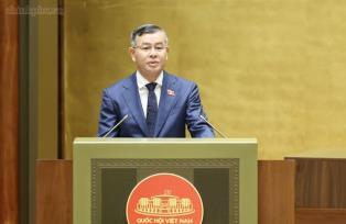 Amendments to bidding law aim to boost project owners autonomy and ensure transparency
