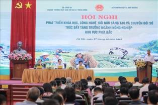 Science and technology must become direct drivers of agricultural growth: deputy PM