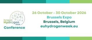 Việt Nam promotes green hydrogen investment opportunities in Europe
