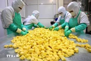 EU raises standards, prompting Vietnamese agricultural producers to adapt