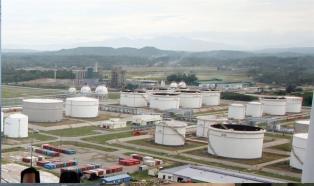 MoIT to build system to flag unusual fuel price movements