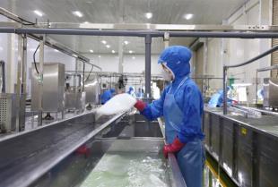 Export growth target of 15-16% set for 2026