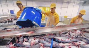 Seafood sector reels in growth after bumper year