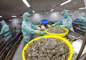 Việt Nams shrimp exports gain dual boost from key markets