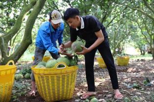 HCM City One Commune One Product makers eagerly await Tết bonanza