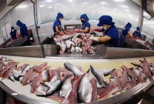 Agriculture sector develops scenarios to respond to export risks