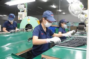 Domestic capacity key to next phase of FDI attraction: expert