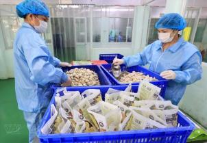  Agricultural exporters rush to comply with Chinas new import rules