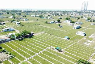 Ministry to propose high technologies for priority development