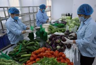 Rising costs squeeze farm cooperatives, threaten competitiveness