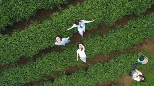 Green travel gains momentum in Việt Nam