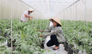 Plan approved to accelerate digital transformation of SMEs