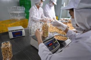 Việt Nams cashew industry faces raw material supply challenges