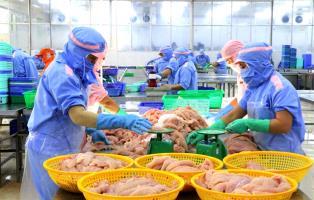 Vietnamese seafood faces major test amid maritime logistics shock