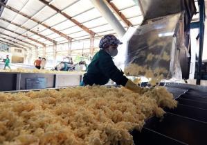 Agricultural sector maintains export growth in Q1 but faces declining prices