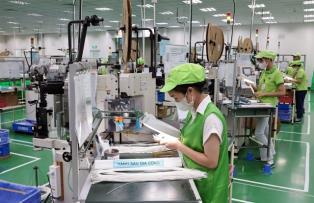 Đồng Nai Province eyes starring role for supporting industries