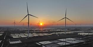 Việt Nam must improve DPPA, energy storage framework to accelerate green transition