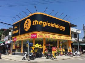 MWG posts record first-quarter profit surge