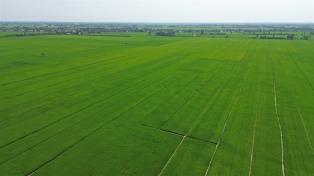 State loan subsidies to be tied to environmental standards