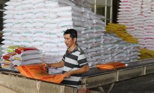 Rice exports to the Philippines face safeguard risks