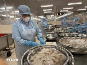 ​​​​​​​Seafood exports up 8% in Q1