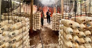Modern retail opens doors for small-scale farmers