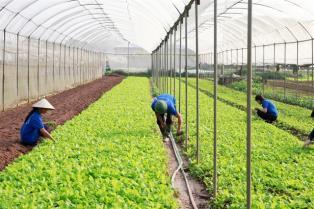 Cooperatives call for removal of obstacles for digital transformation