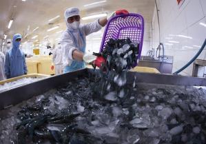 US announces preliminary anti-dumping results on shrimp
